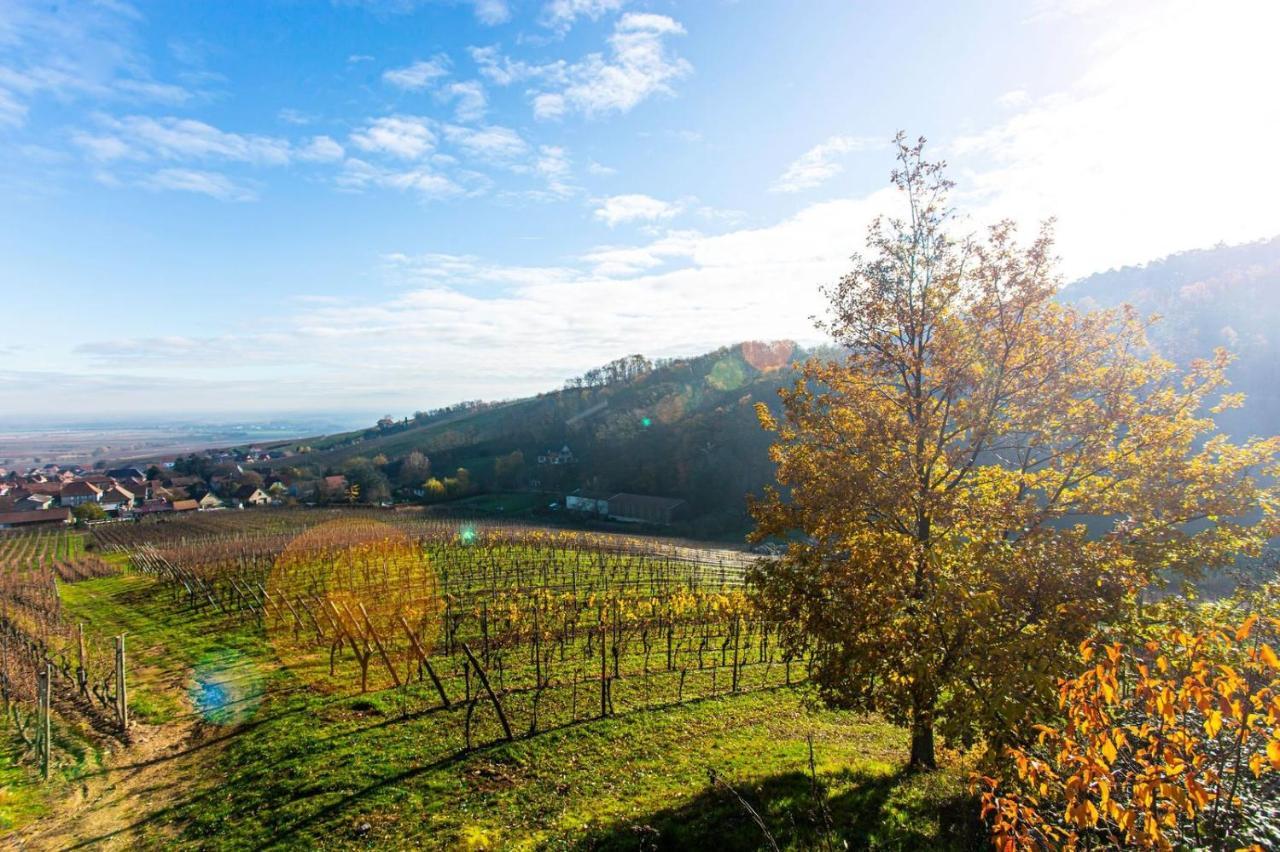 Gite La Rodernelle - Sauna Privatif - Climatisation - Vue Sur Le Chateau Du Haut Koenigsbourg Eksteriør bilde